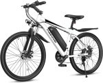 Our Honest Take on the 1000W Funhang Electric Bike for Adults